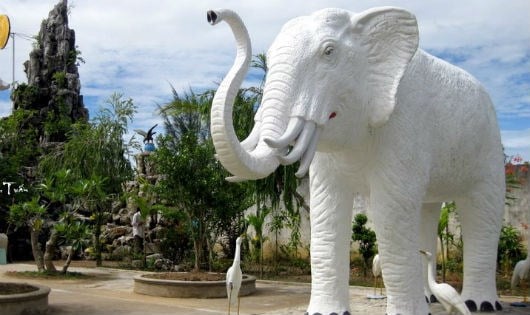 mo-thay-voi-la-diem-bao-gi-hen-hay-xui-danh-con-gi-may-man-230