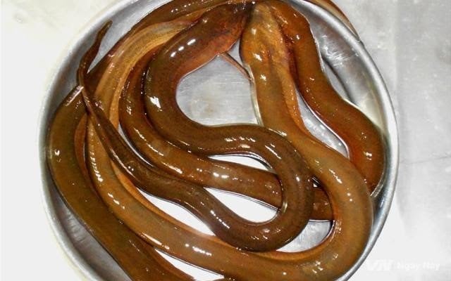 mo-thay-luon-giai-ma-diem-bao-tot-xau-va-nhung-con-so-may-man-98