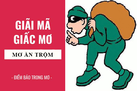 su-that-bat-ngo-dang-sau-giac-mo-thay-an-trom-22