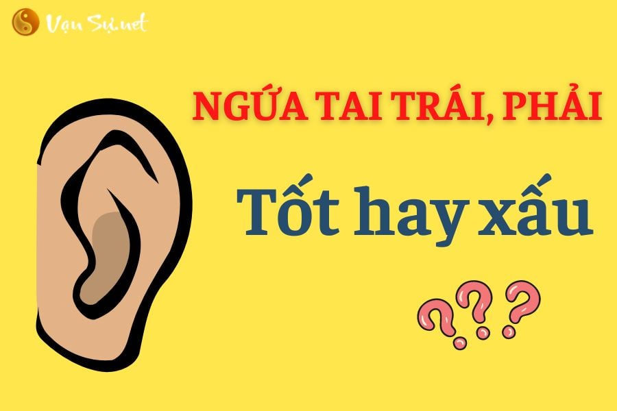 ngua-tai-trai-phai-la-diem-gi-tot-hay-xau-3