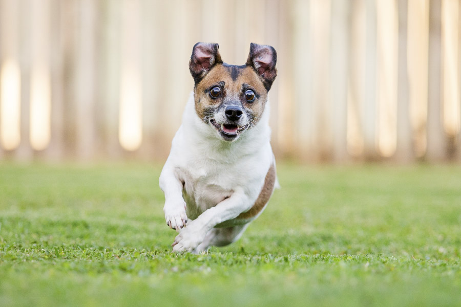 mo-thay-cho-co-y-nghia-gi-153