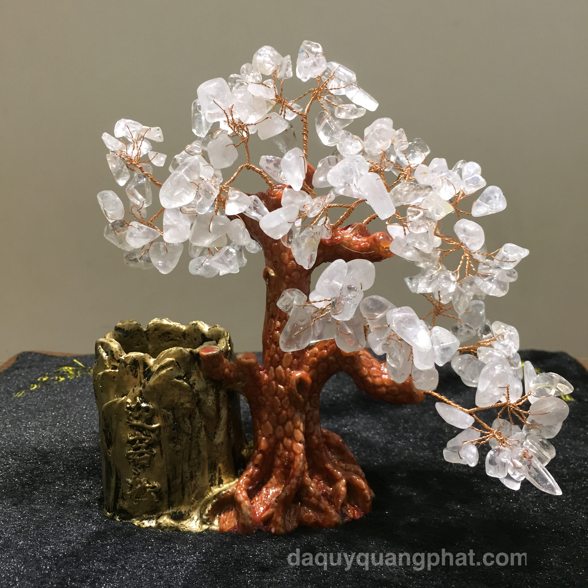 diem-danh-4-loai-cay-tai-loc-mang-lai-nhieu-may-man-dip-xuan-2018-222