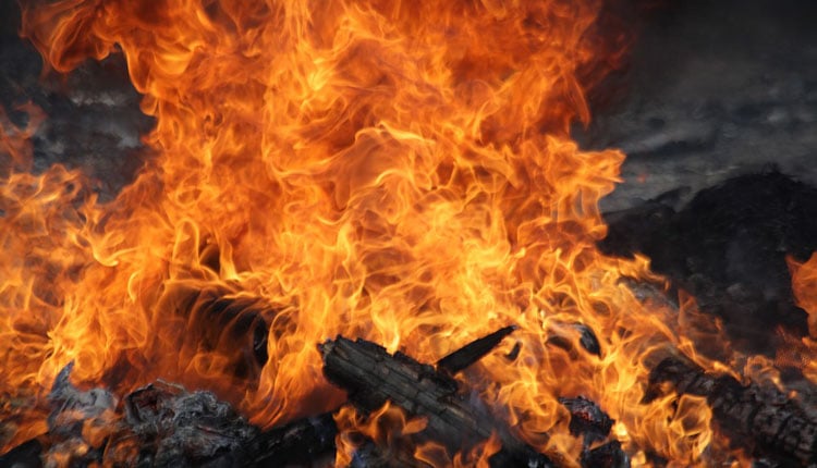 bi-mat-dang-sau-giac-mo-thay-lua-la-gi-161