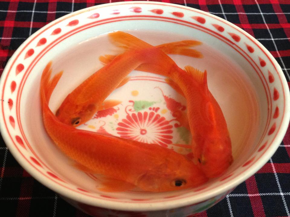 cac-le-vat-cung-ong-cong-ong-tao-trong-ngay-23-thang-chap-100